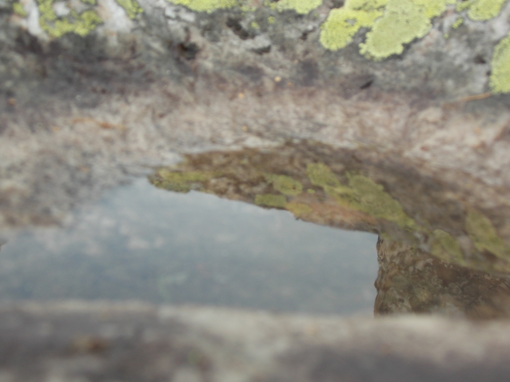 DSCN3731.JPG
