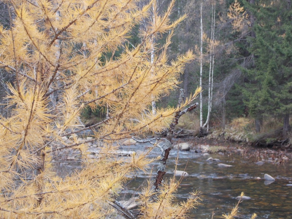 DSCN3659.JPG
