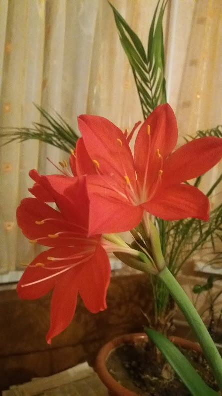 20170927_222402.jpg
