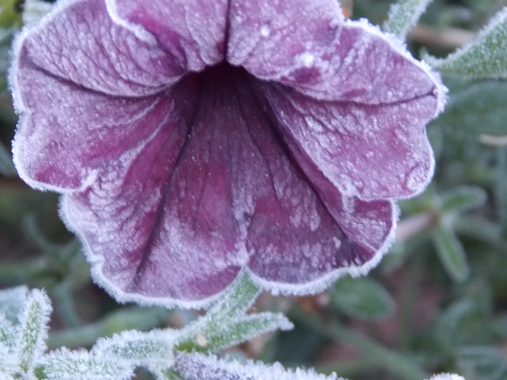 DSCN4933.JPG
