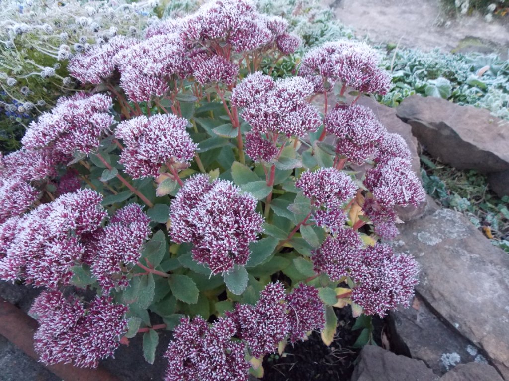DSCN4937.JPG