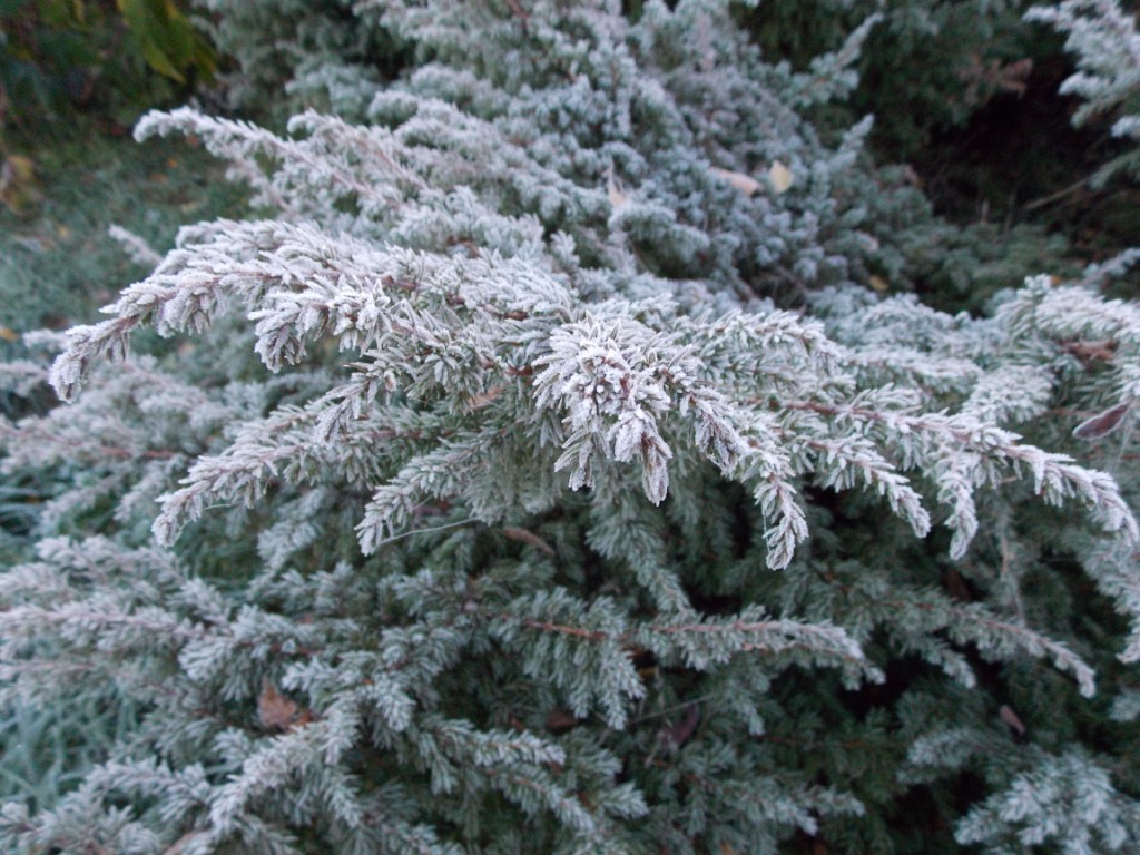 DSCN4939.JPG