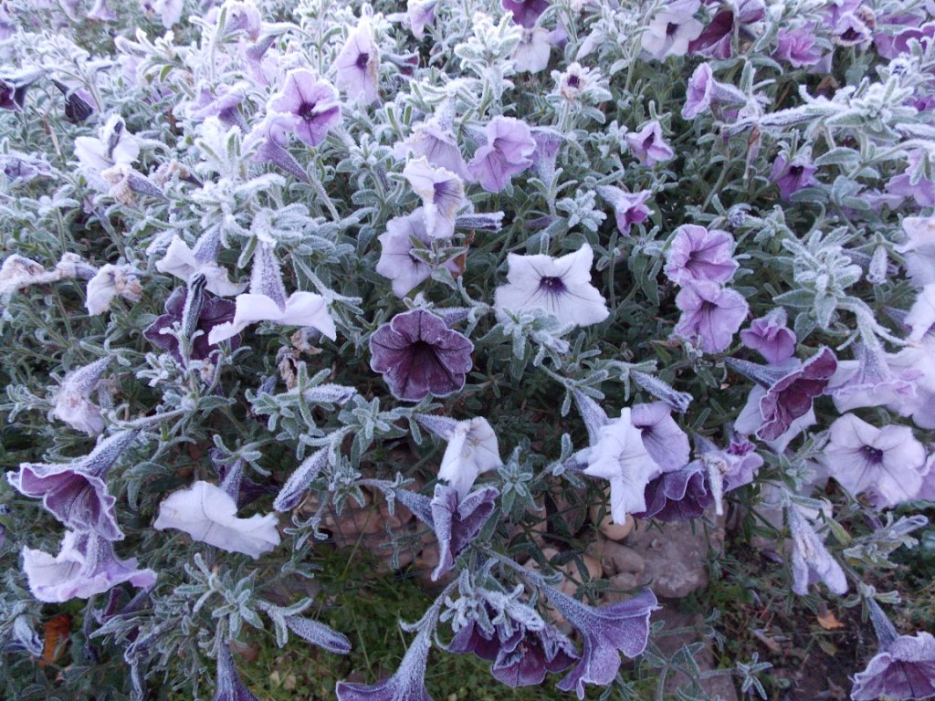 DSCN4932.JPG