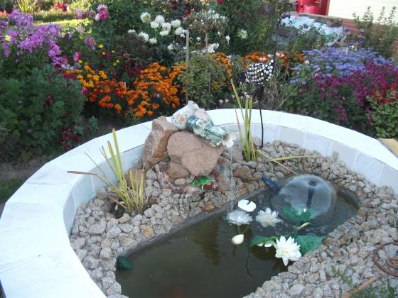 DSCF1176.jpg