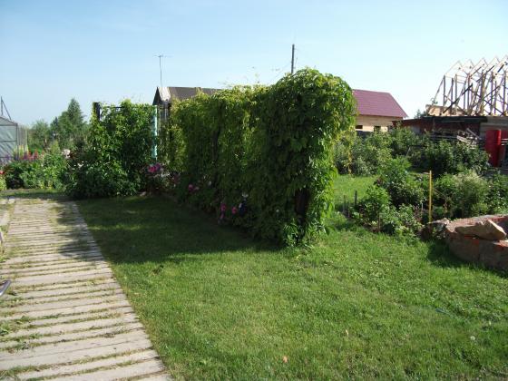 DSCF0603.JPG