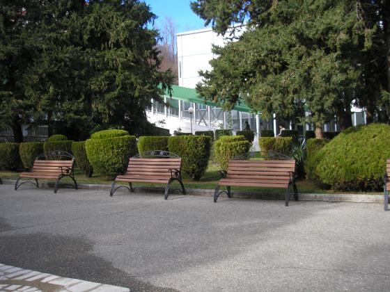 P1010050.JPG