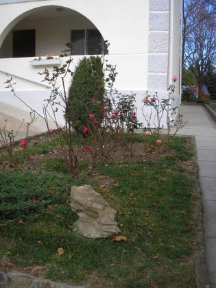 P1010074.JPG