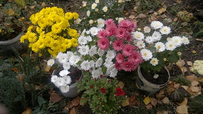 2014-10-18-4237.jpg