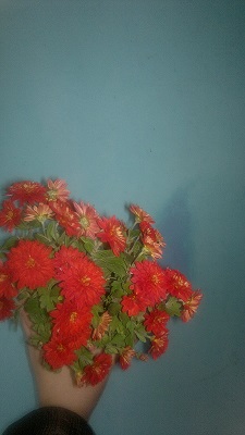 2014-11-01-4300.jpg