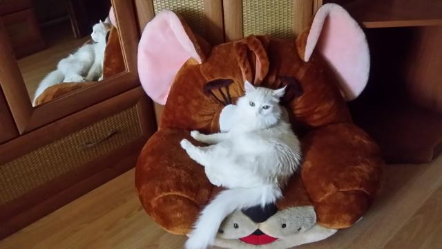 20151129_120309.jpg