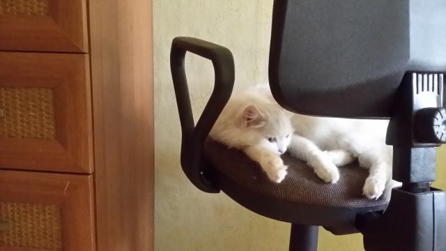 20151129_112659.jpg