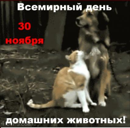 getImage (80).jpg
