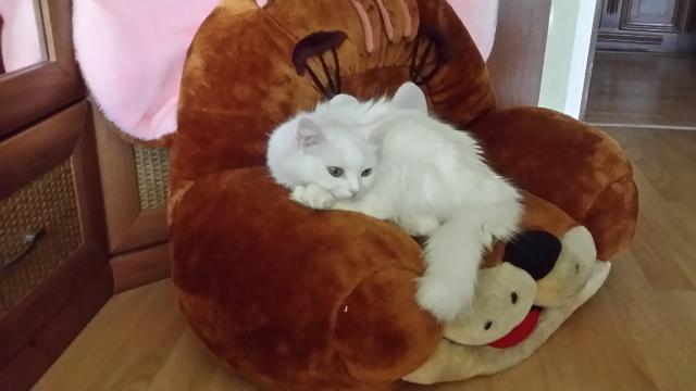 20151129_115442.jpg