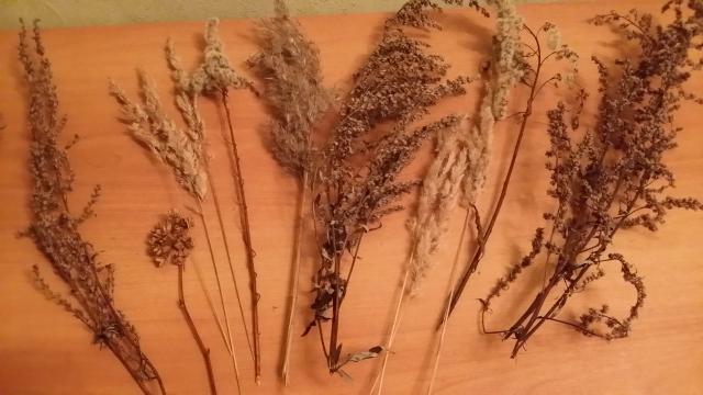 20151108_184813.jpg