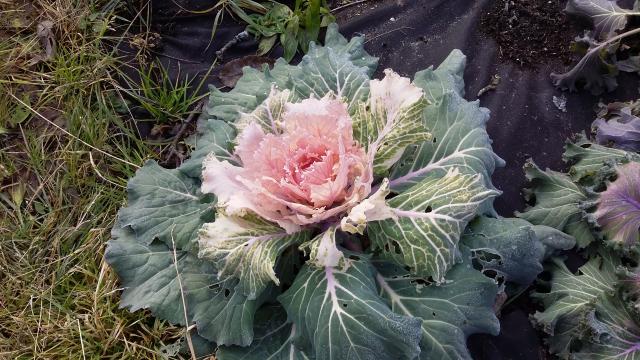 20151107_124855.jpg