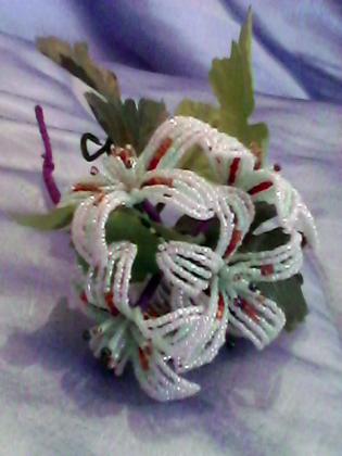 IMG0679A.jpg