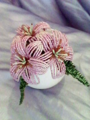 IMG0686A.jpg