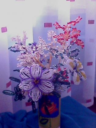 IMG0745A.jpg