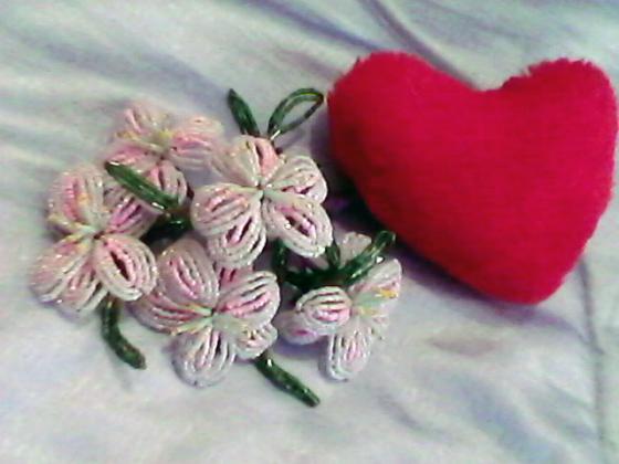 IMG0684A.jpg