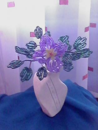 IMG0749A.jpg