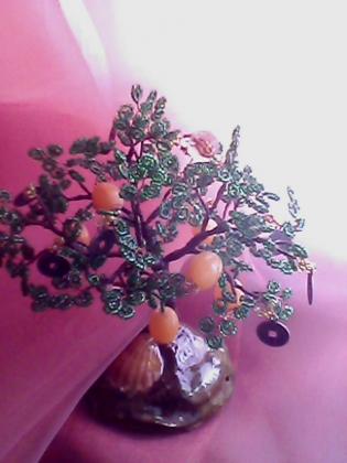 IMG0754A.jpg