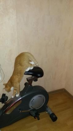 20161010_064120.jpg