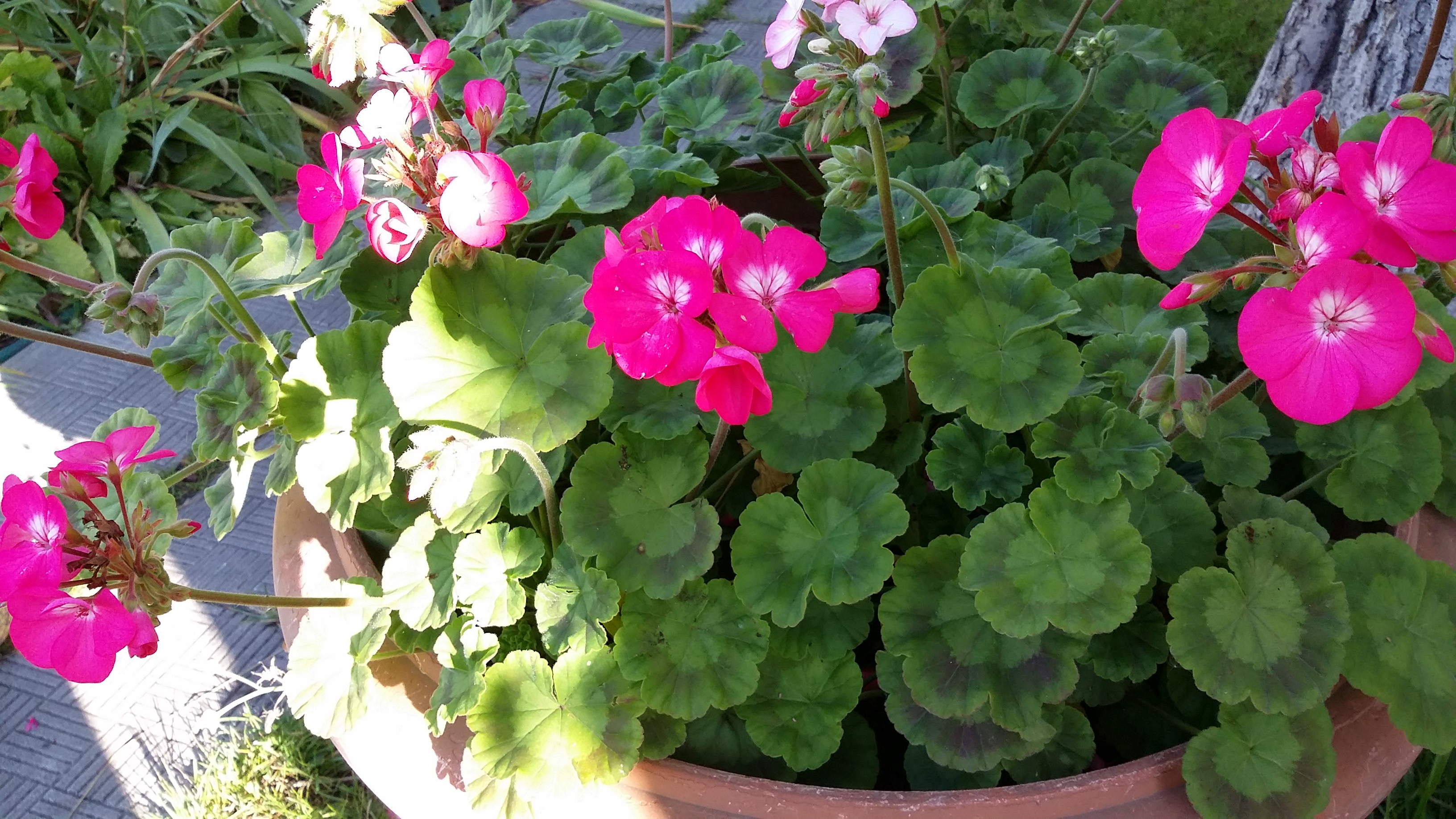 20170920_092826.jpg