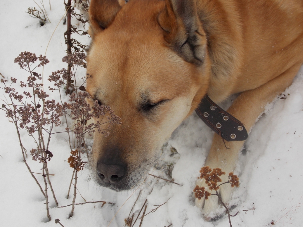 DSCN3940.JPG