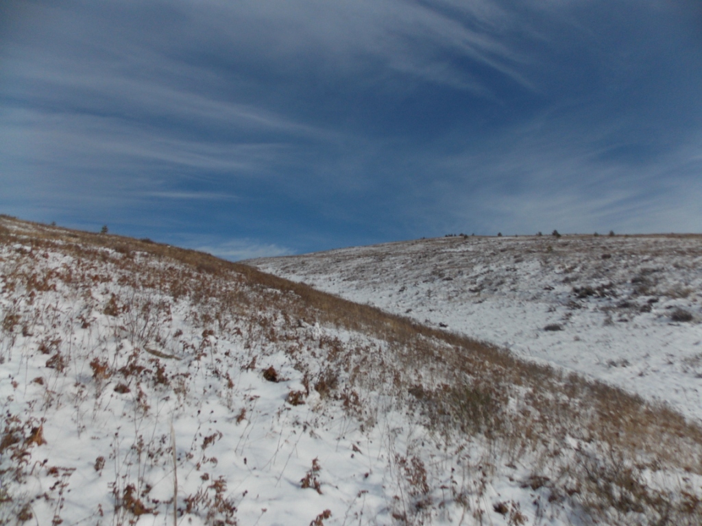 DSCN3875.JPG