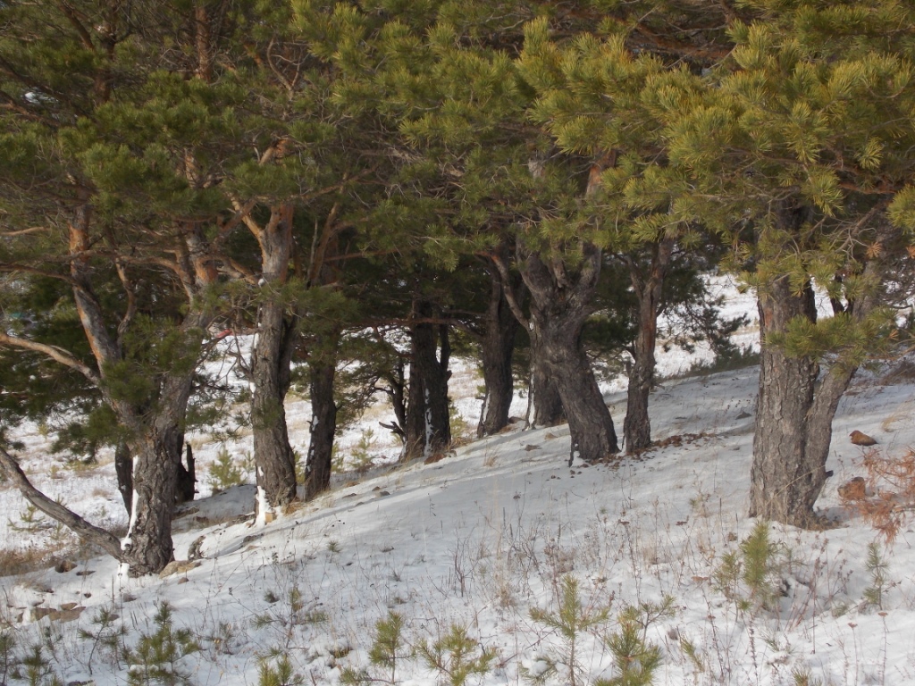 DSCN3891.JPG
