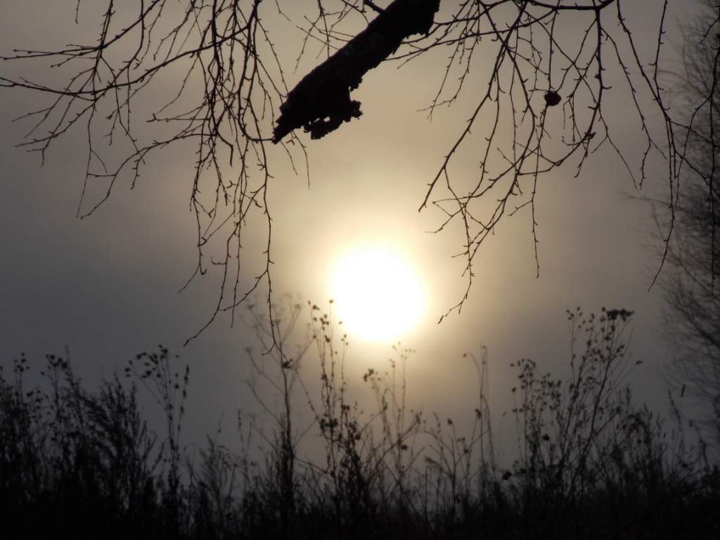 DSCN4036.JPG