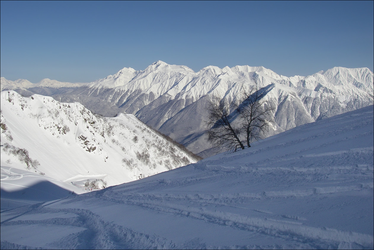 IMGP2214_sm.jpg