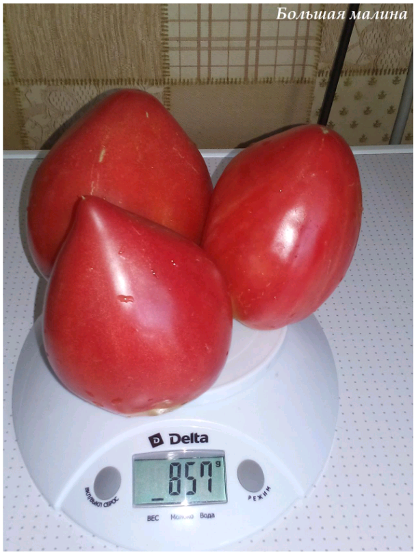 2018-11-17 13.49.25.png