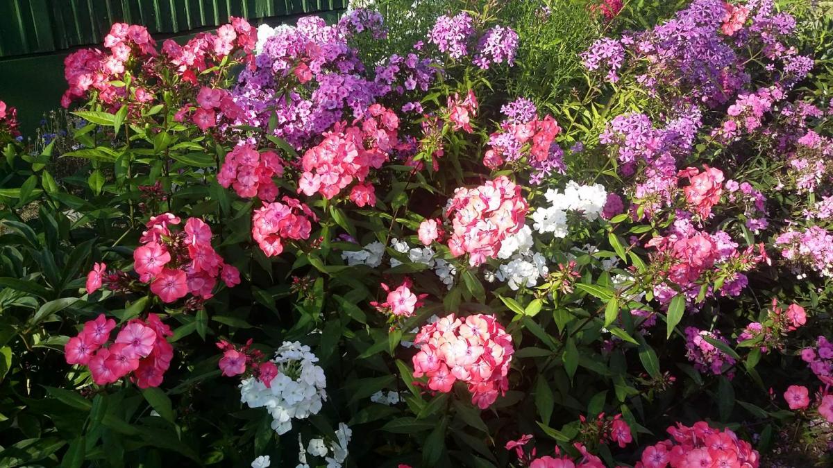 image (49).jpeg
