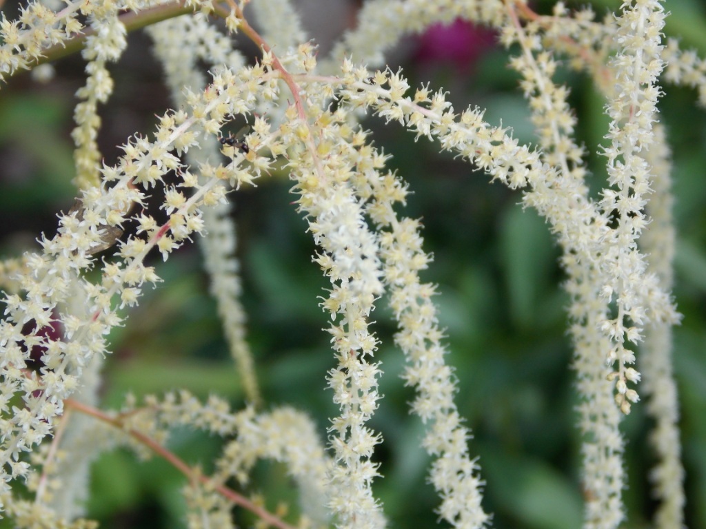DSCN4753.JPG