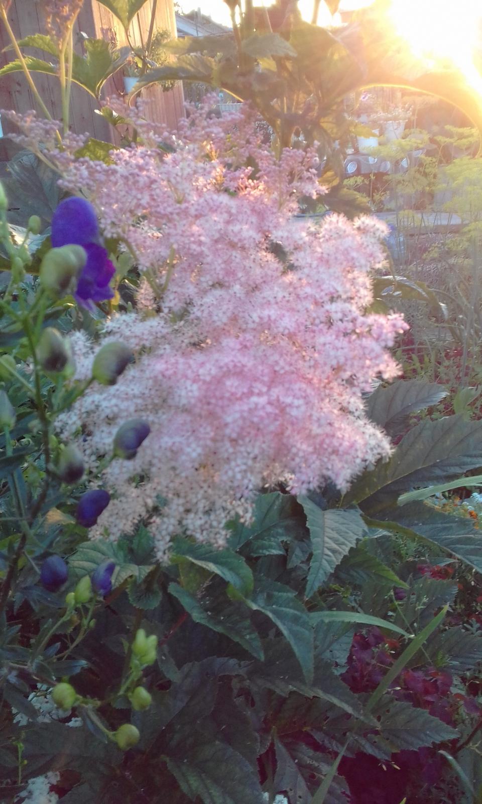 20170802_212903.jpg