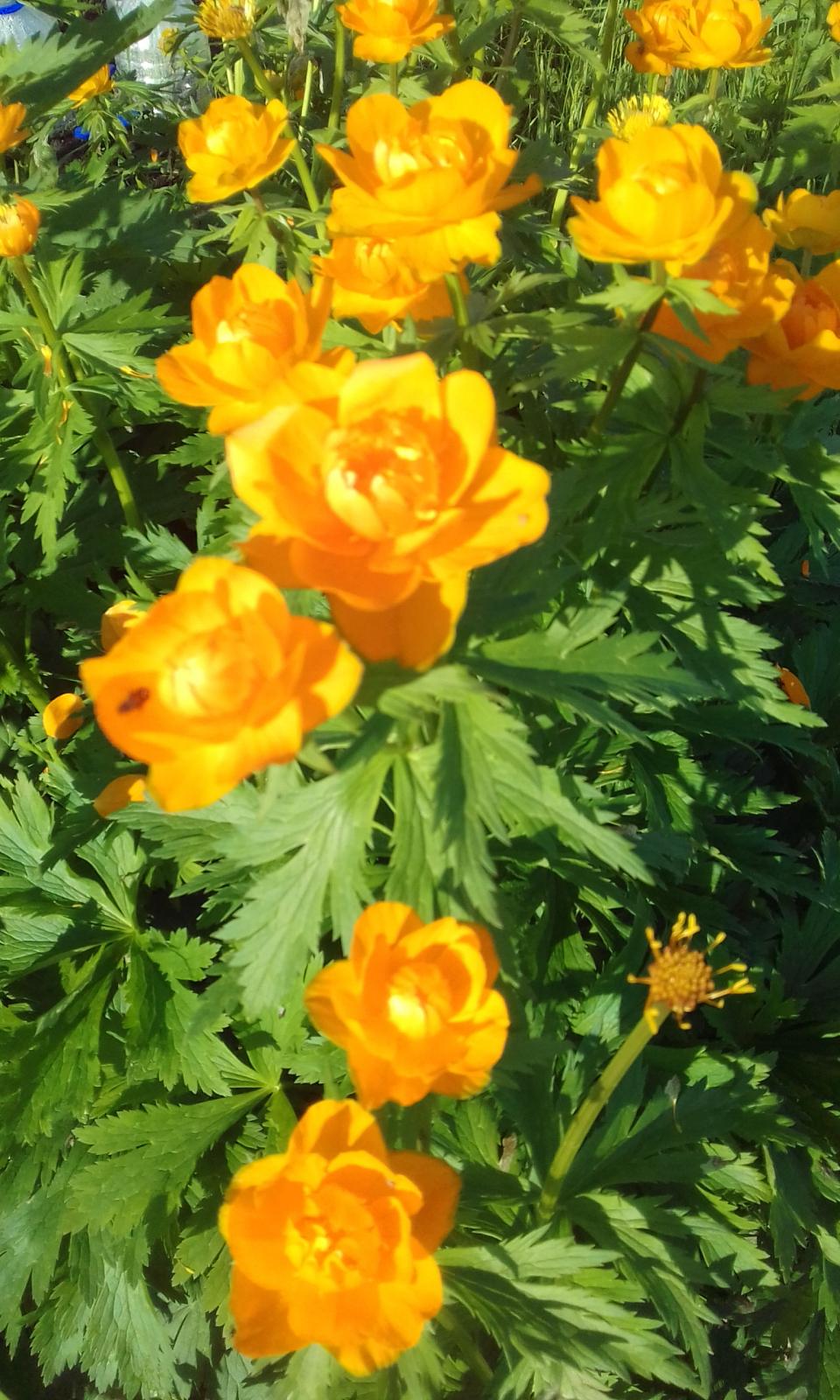 20180618_072734.jpg