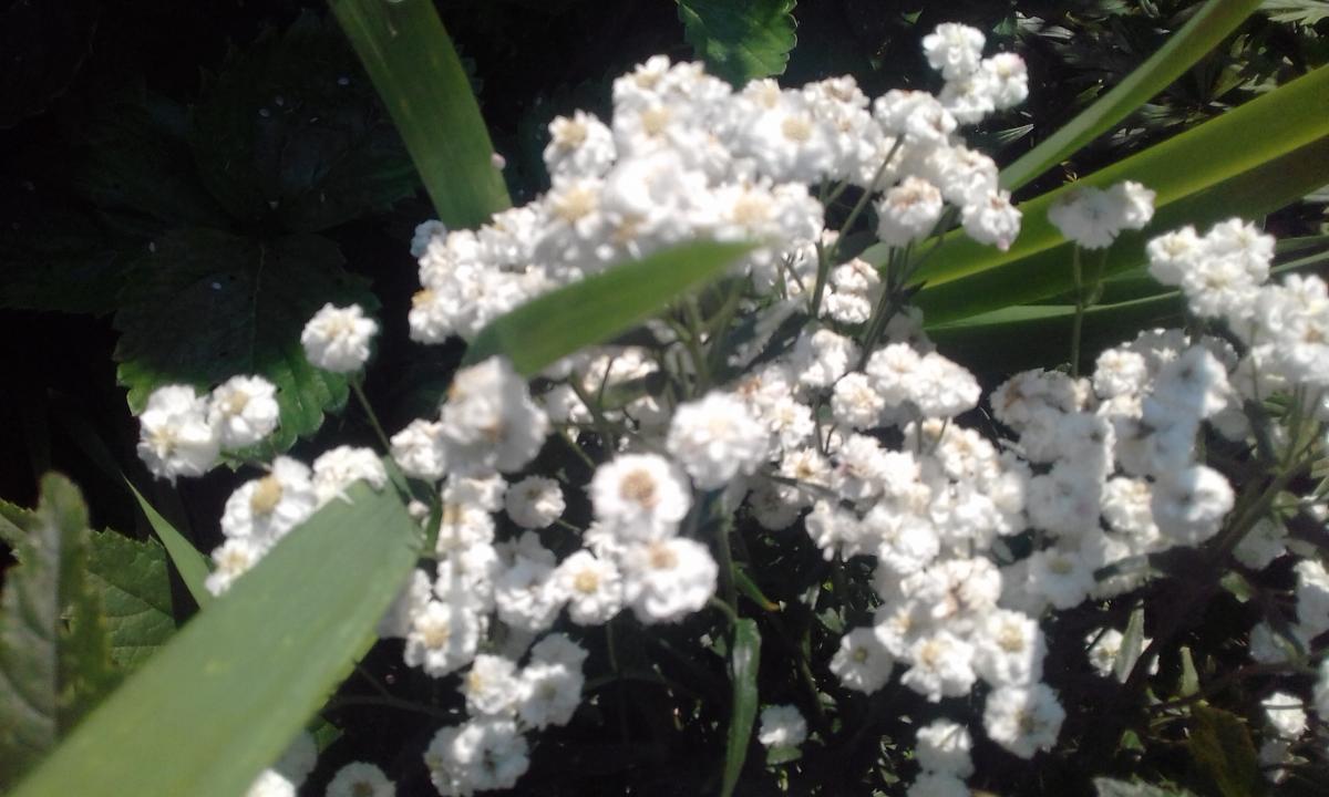 20170731_080548.jpg