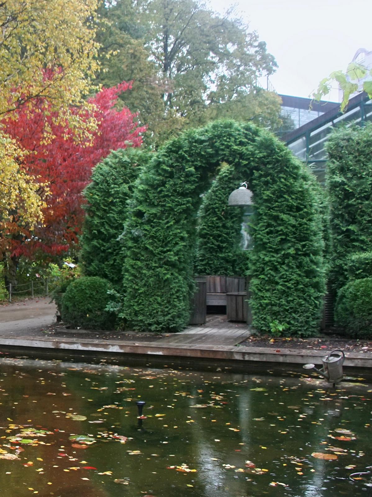 IMG_9264-sm3.jpg