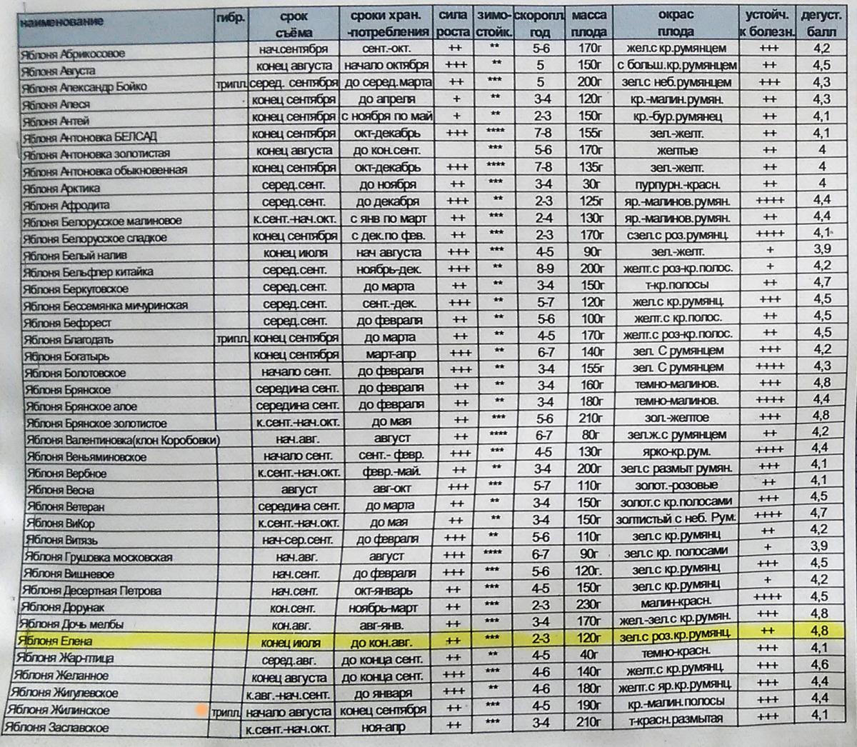 яблони-Садко-таблица-ч1.jpg