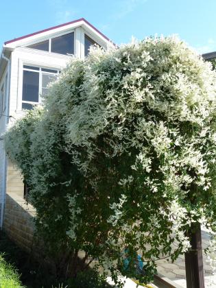 2013-09-29 10-49-55.JPG