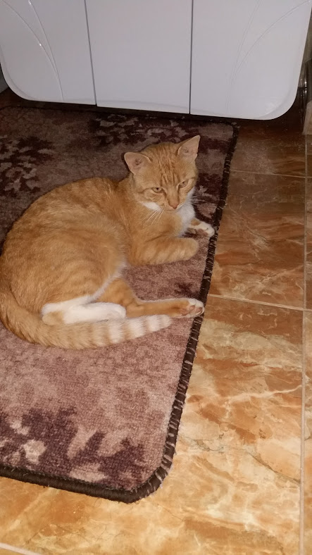 20170730_201340.jpg
