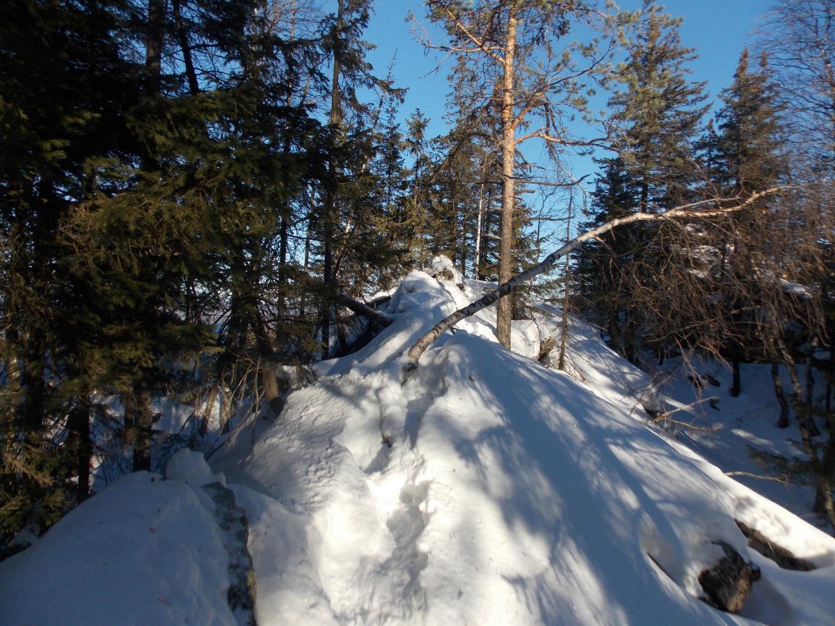 DSCN0306.JPG