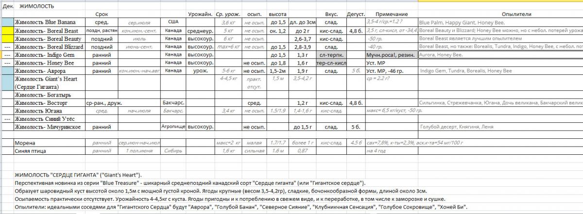 жимолость-1.jpg
