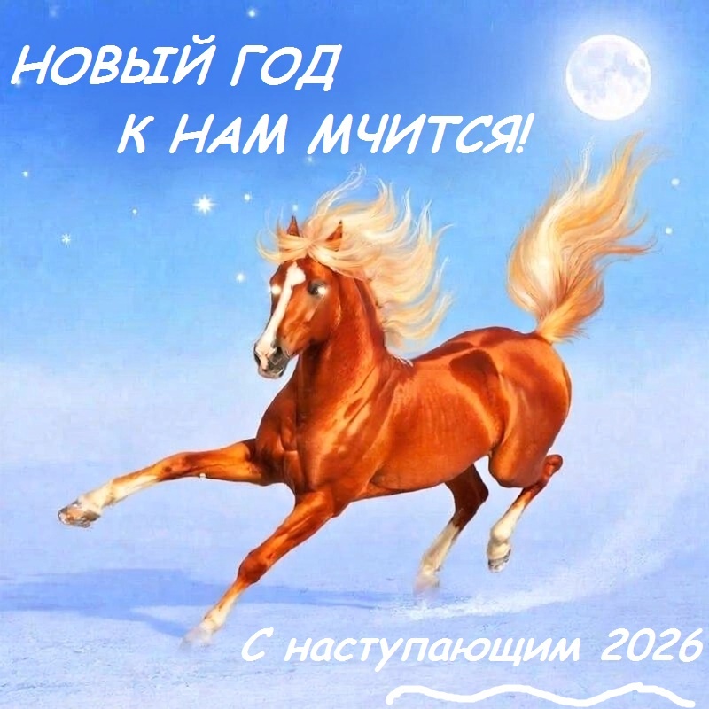 scale_1200.jpg